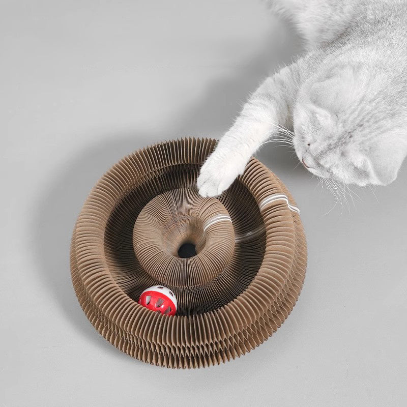 Cat Accordion
